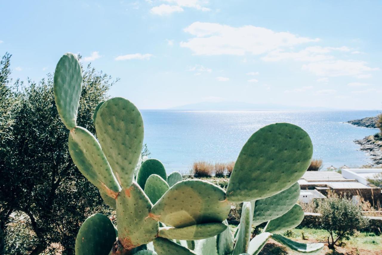 Вілла The Elaia House Mykonos Орнос Екстер'єр фото